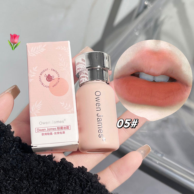 Small Bottle Pink Mist Lip Cre - Matte Velvet Lip Tint Long Lasting 评论和价格